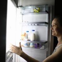 lg french door refrigerator light problem 2022