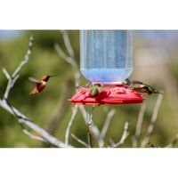 how to keep wasps away from hummingbird feeders