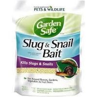 use slug bait to remove slugs