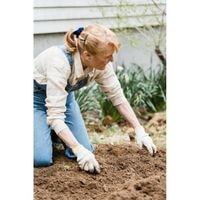 remove grass and soil