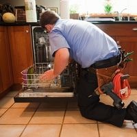 why electrolux dishwasher troubleshooting